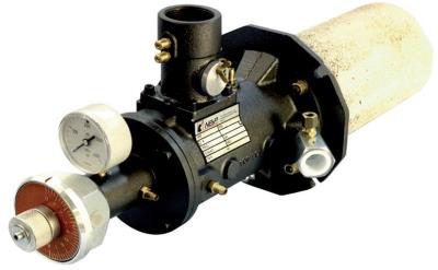 Riello BP D.O Dual Fuel Burner