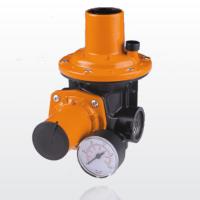 Pietro Fiorentini HP100 Regulator