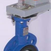 Belimo D(U)6 Series Butterfly Valve