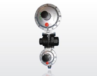 Pietro Fiorentini Dival 500 Series Regulator