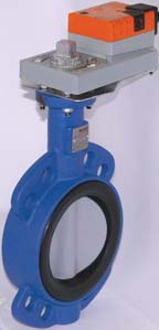 Belimo D(U)6 Series Butterfly Valve