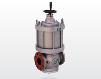 Pietro Fiorentini VLM - Syncroflux Valve